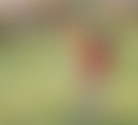 Pasos para hacer una cometa fácil en casa