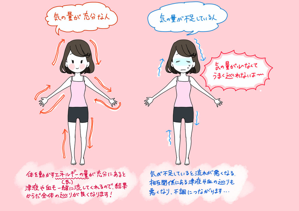 気虚体質さんのトリセツ イラストレーターが薬膳と生活養生について分かりやすく解説します 気虚体質さんのトリセツ イラストレーターが薬膳と生活養生について分かりやすく解説します