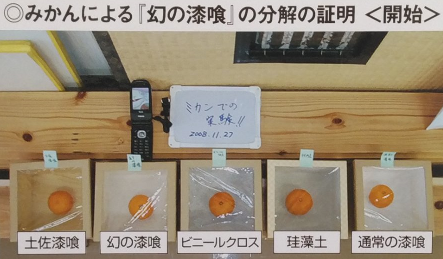 ミカンの腐食実験