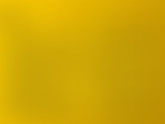 Amended July day trip list