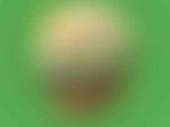  Environment & Globalization - Understanding the linkages