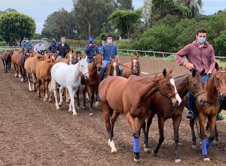 Vuelve el polo en Santa Barbara, California