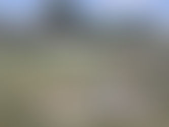 CAMPANHA DE DOAÇÃO DE ANIMAIS É INTENSIFICADA EM CABO FRIO