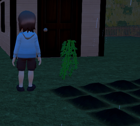Passion Flower plant is hovering above the ground content media