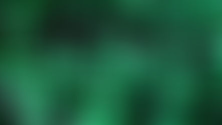 Creating an Army of Brand Ambassadors