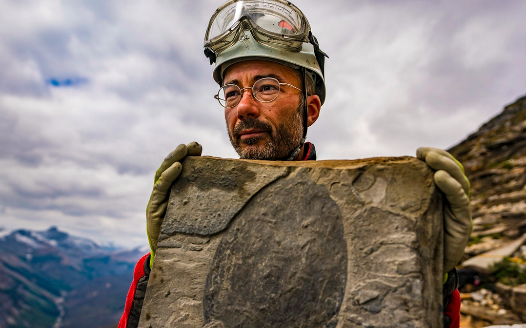 Una Fossile Alieno scoperto nelle Rocce Cambriane del Burgess Shale in Canada content media