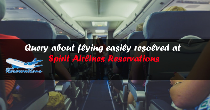Query About Flying Easily Resolved At Spirit Airlines Reservations