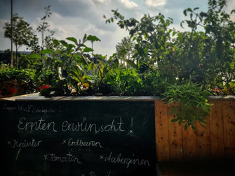 Zurück zum Beton und in die Zukunft