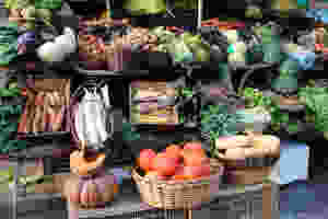 mois sans supermarché , défis , fevrier