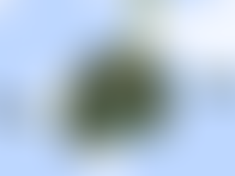 BedWars fly update