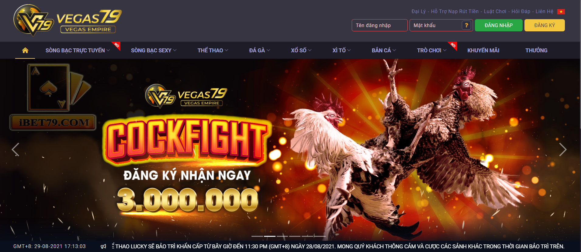 NHÀ CÁI ĐÁ GÀ MẠNG UY TÍN NHẤT HIỆN NAY | VEGAS79 content media