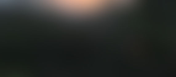 So it begins! Summer 2018