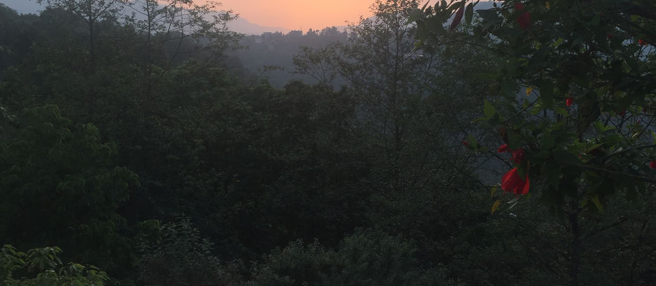 So it begins! Summer 2018