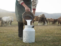 モンゴルの馬乳酒は、馬のミルクからできたお酒のことです。