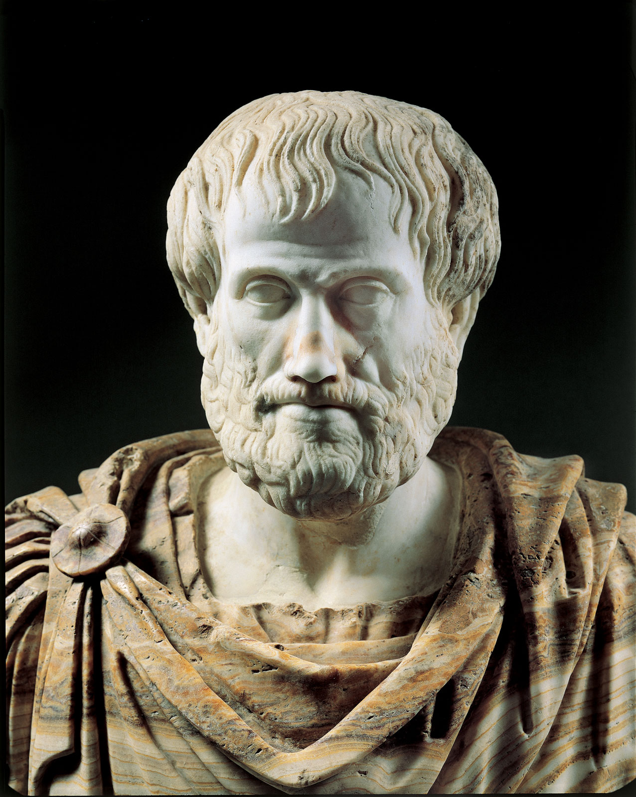 Aristotle, Friend or Foe to Science? content media