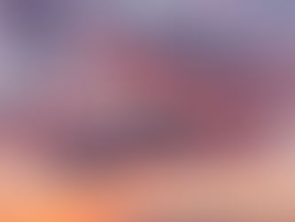 紐航在困境中尋求機會再次高飛