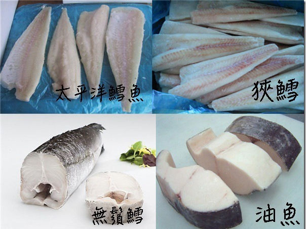 不可以說的秘密 鱈魚的真相 | 8point1