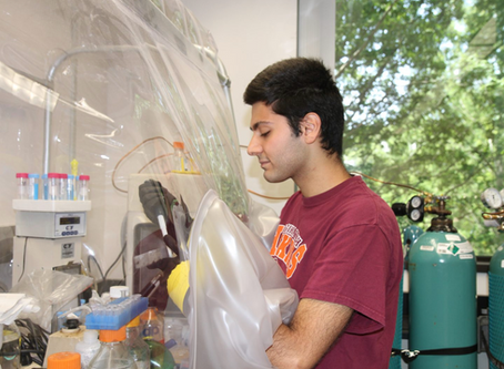 Taylan featured in VT news