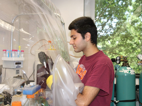 Taylan featured in VT news