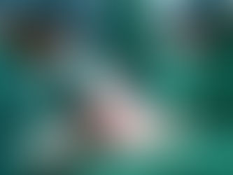 Más de 80 personas salvaron la vida gracias a donación de órganos el 2019

