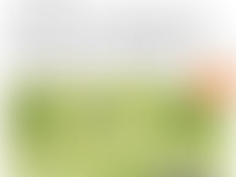 This Week At Westbank Libraries