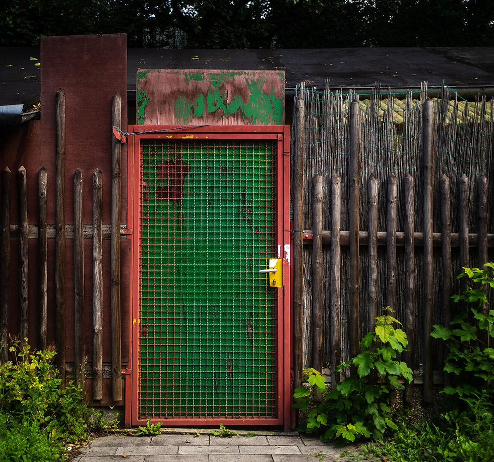 AllotMe Allotment green oasis lockdown escape mental health