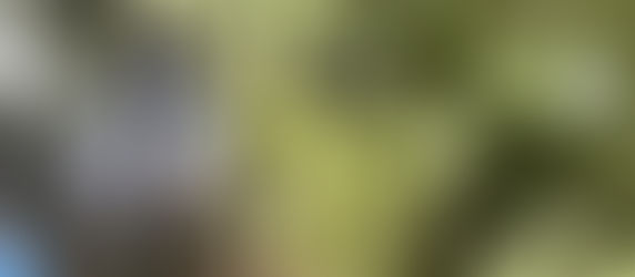 blog更新遅くなりました