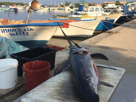 Porto Cesareo - Mercato