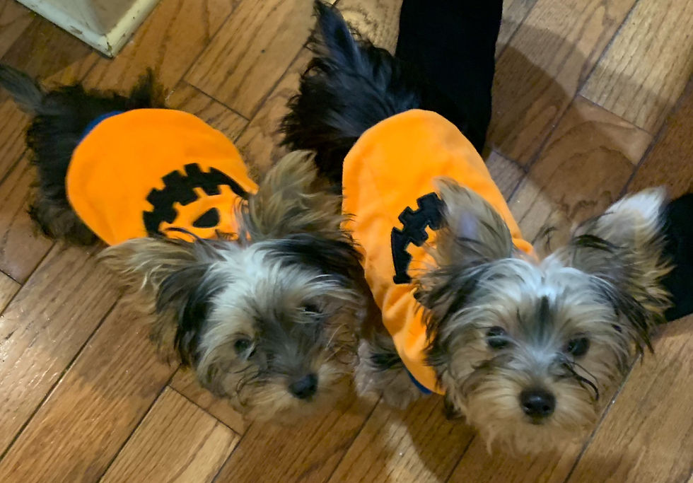 Last Halloween