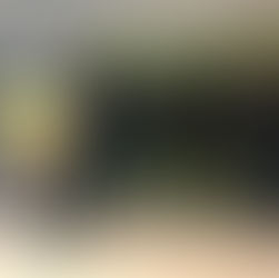 Ohlásenie kandidatúry na poslanca NRSR za stranu Sloboda a Solidarita