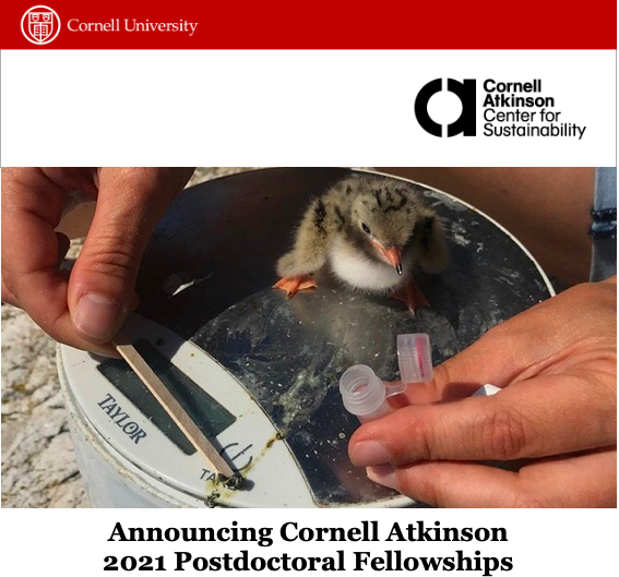 Cornell Atkinson Postdoctoral Fellowship in Sustainability: request for proposals content media