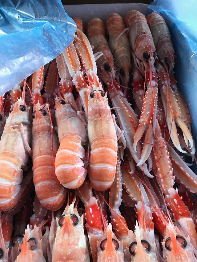 Scampi congelati