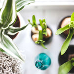 Haz crecer tu comunidad de Blog