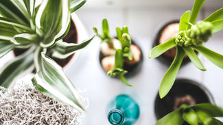 Grow Your Blog Community