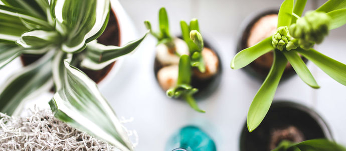 Grow Your Blog Community