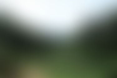 Bimala Goes To a Grower's Farm