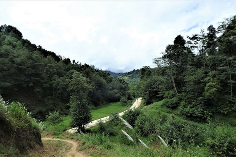 Bimala Goes To a Grower's Farm