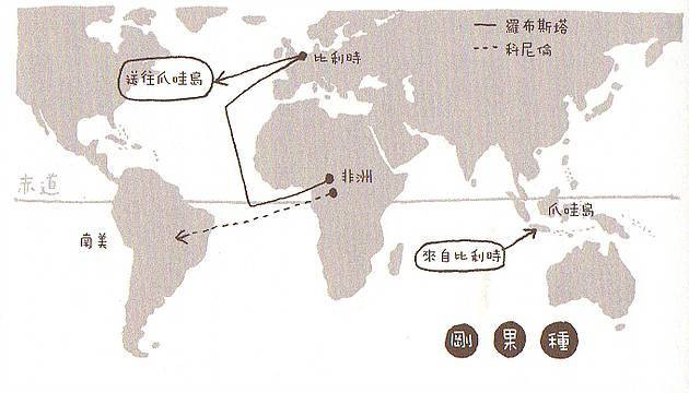 【咖啡小知識】第2回: 咖啡樹的起源及如何普及?
