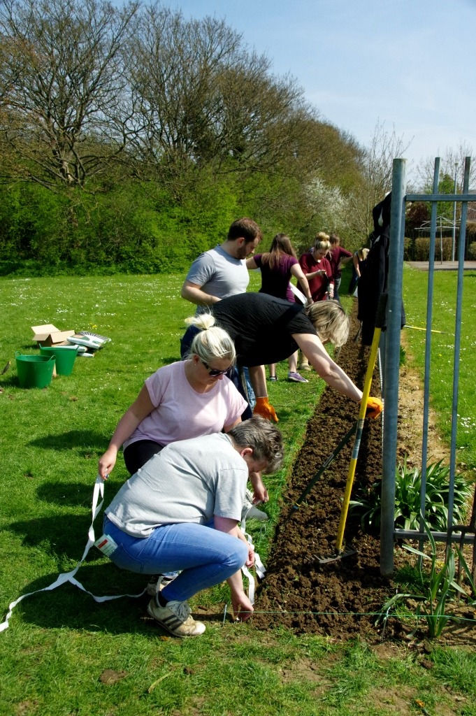 Volunteers from Thomson Holidays put the final touches to the Wildflower Border - April 2015