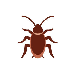 As noites do auto-desterro