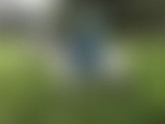 English Saddle NEW to the Shop!