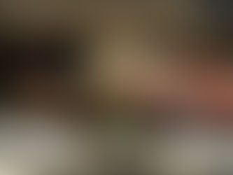 LINHAS CHILENAS SÃO APREENDIDAS PELA GUARDA CIVIL EM SAQUAREMA
