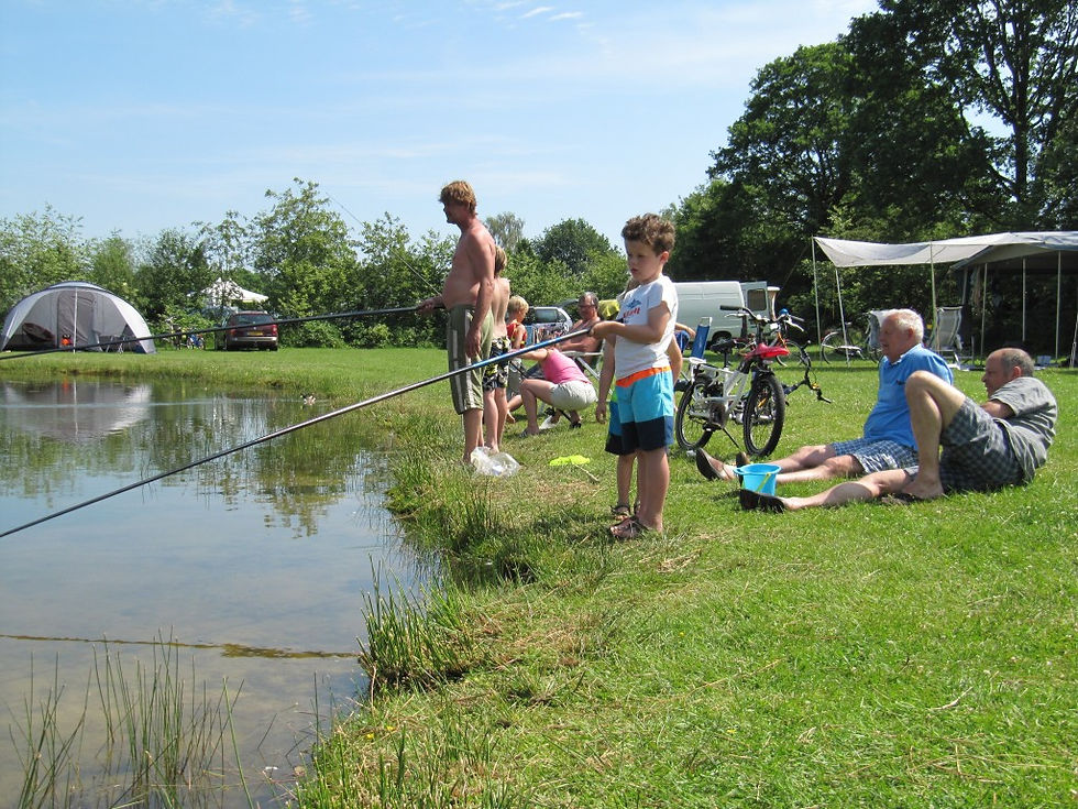 Camping Drenthe met hond