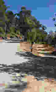 הדרך לשבילי רון האהובים