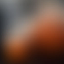 Seville orange marmalade