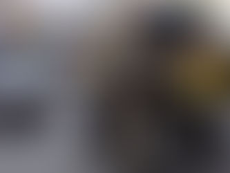 Concejales de la UV Más Campana presentaron un proyecto de ordenanza sobre la tracción a sangre