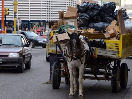 Concejales de la UV Más Campana presentaron un proyecto de ordenanza sobre la tracción a sangre