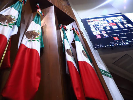 Congreso no ratifica propuesta de Eva Guerrero como directora del ISMUJERES