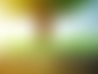 Beyond the Box: Innovative Church Planting II