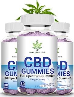 Ultra Rare Ingredients Of Next Plant CBD Gummies And How Much It's Beneficial For You? content media